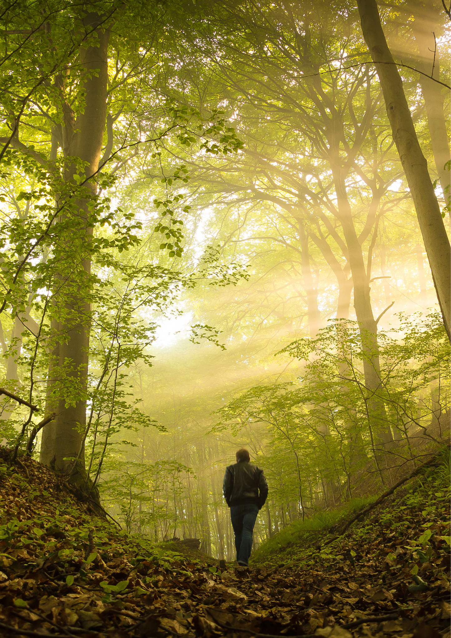 Life Path Numerology Reading