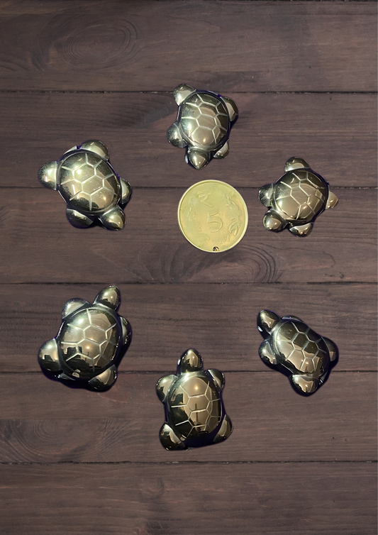Pyrite Tortoise